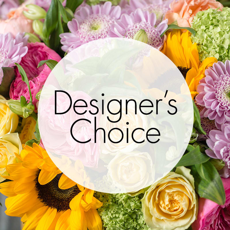 Designers Choice